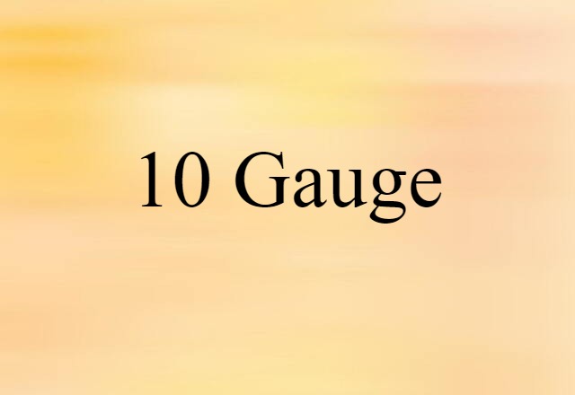 10-gauge (noun) Definition, Meaning & Examples