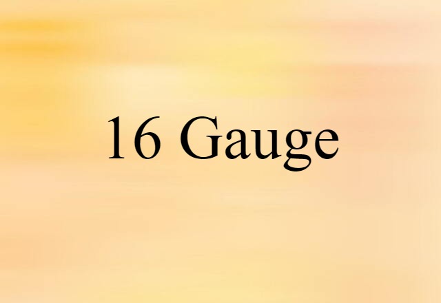 16-gauge (noun) Definition, Meaning & Examples