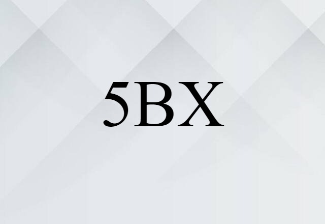 5BX (noun) Definition, Meaning & Examples