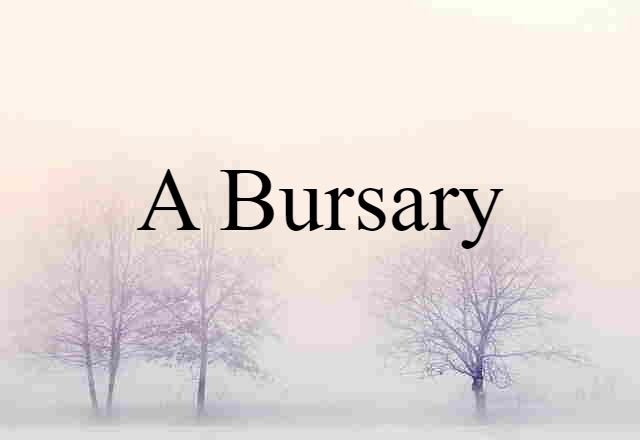 A Bursary (noun) Definition, Meaning & Examples