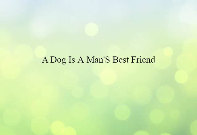 A dog is a man's best friend