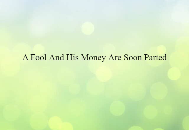 A Fool And His Money Are Soon Parted (noun) Definition, Meaning & Examples