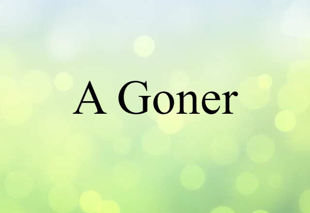 A Goner (noun) Definition, Meaning & Examples