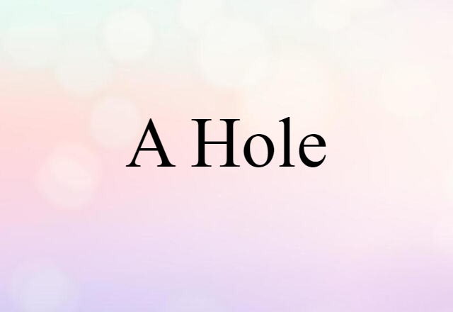 A-hole (noun) Definition, Meaning & Examples