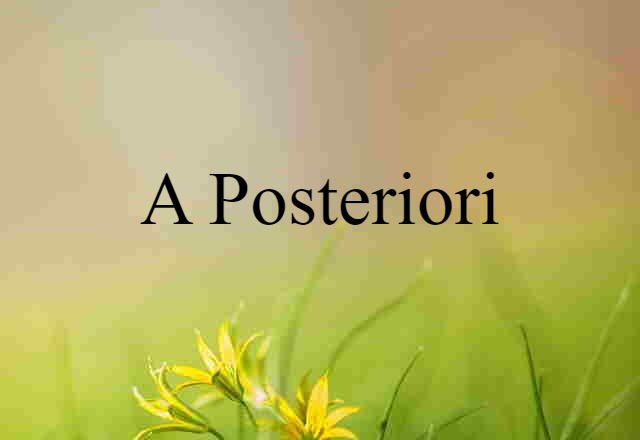 A Posteriori (noun) Definition, Meaning & Examples