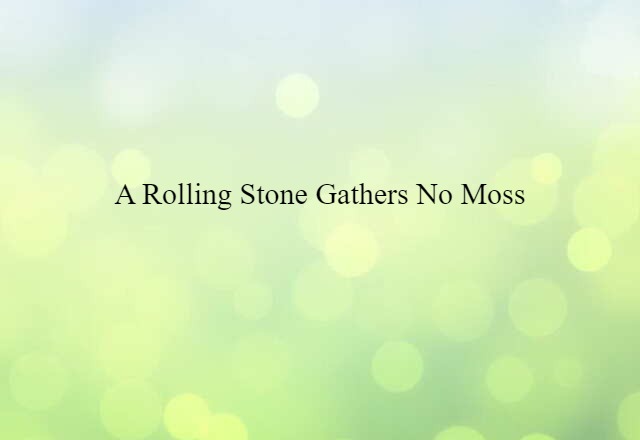 A rolling stone gathers no moss