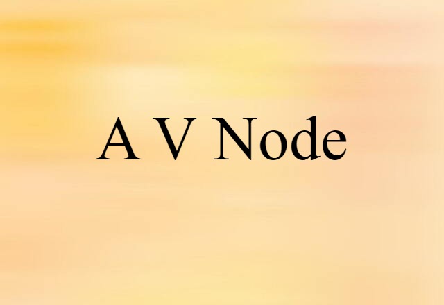 A-V Node (noun) Definition, Meaning & Examples