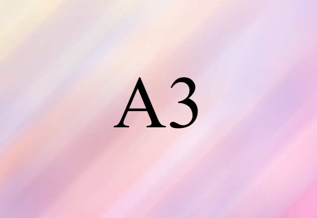 A3