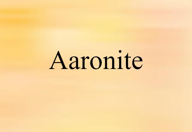 Aaronite (noun) Definition, Meaning & Examples