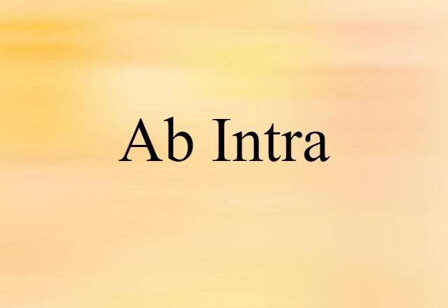 Ab Intra (noun) Definition, Meaning & Examples