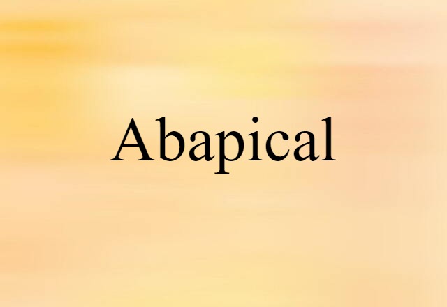 Abapical (noun) Definition, Meaning & Examples