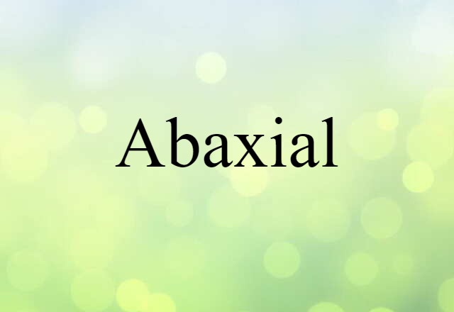 Abaxial (noun) Definition, Meaning & Examples