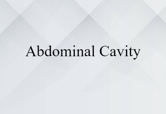 abdominal cavity