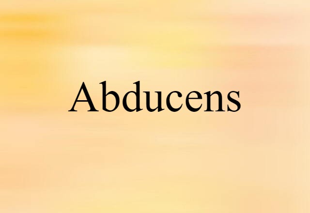 Abducens (noun) Definition, Meaning & Examples