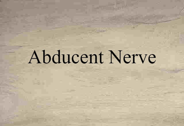 abducent nerve