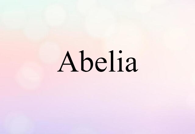 abelia