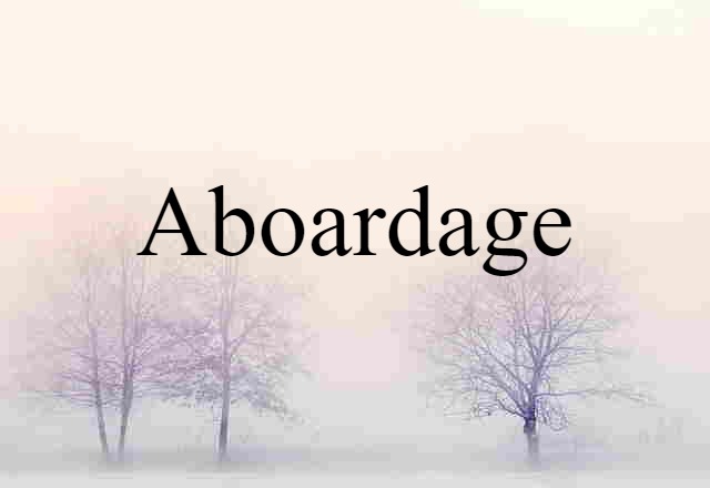 Aboardage (noun) Definition, Meaning & Examples