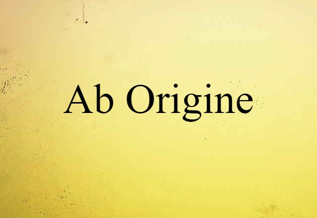 Ab Origine (noun) Definition, Meaning & Examples