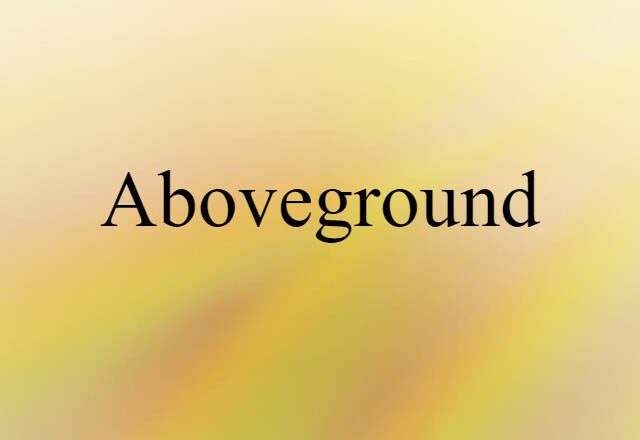 Aboveground (noun) Definition, Meaning & Examples