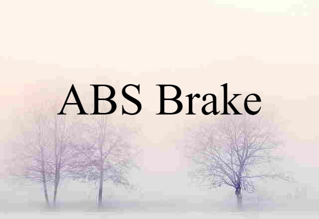 ABS brake