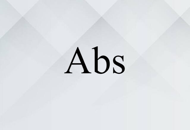 Abs (noun) Definition, Meaning & Examples