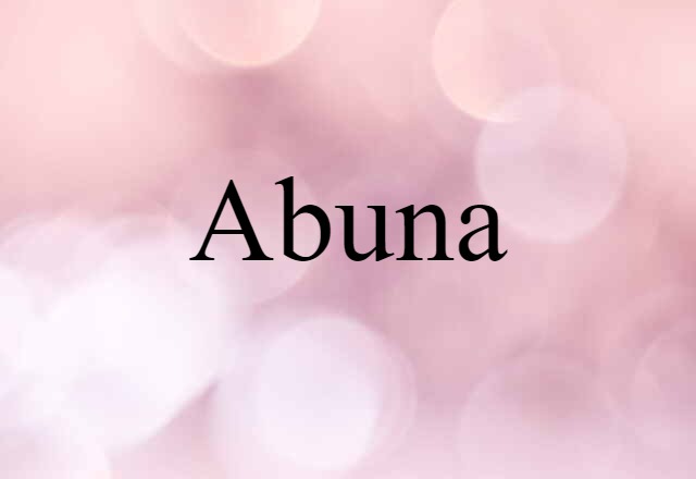 Abuna (noun) Definition, Meaning & Examples