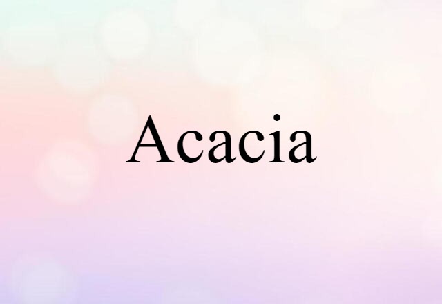 acacia