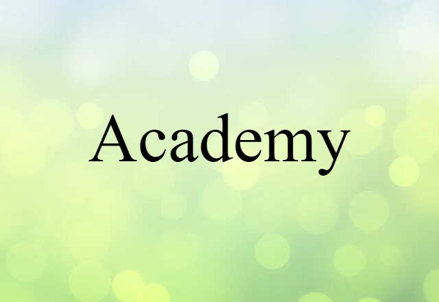 Academy (noun) Definition, Meaning & Examples