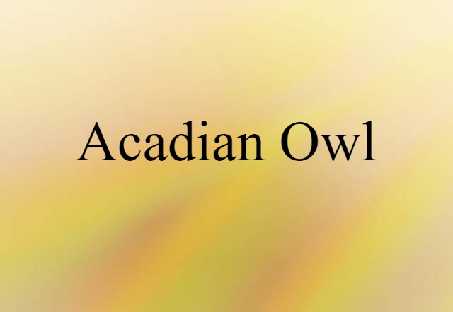 Acadian Owl (noun) Definition, Meaning & Examples