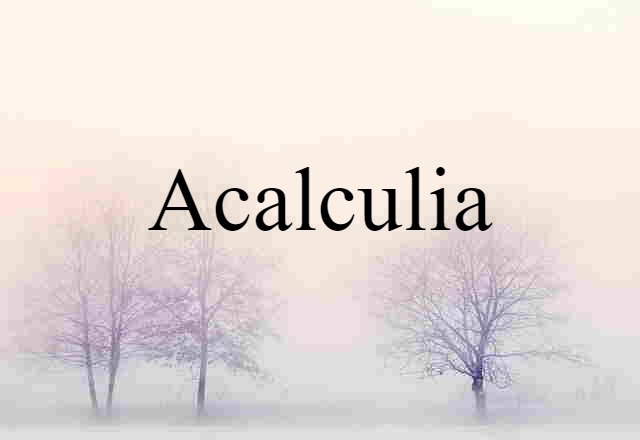 Acalculia (noun) Definition, Meaning & Examples