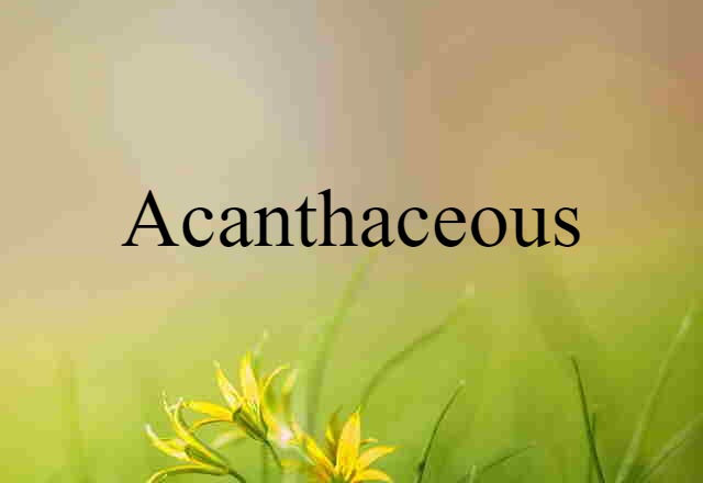 Acanthaceous (noun) Definition, Meaning & Examples