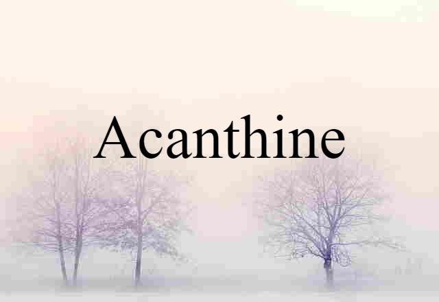 acanthine