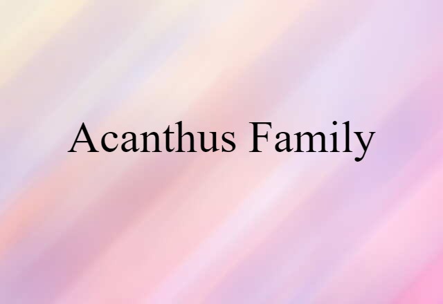 acanthus family