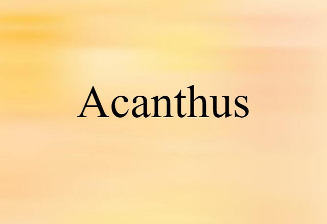 Acanthus (noun) Definition, Meaning & Examples