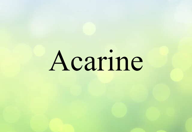 Acarine (noun) Definition, Meaning & Examples