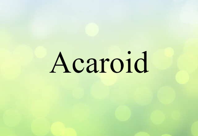 Acaroid (noun) Definition, Meaning & Examples