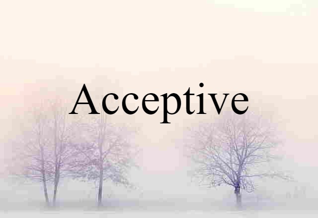 Acceptive (noun) Definition, Meaning & Examples