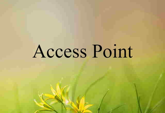 Access Point (noun) Definition, Meaning & Examples