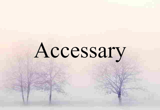 Accessary (noun) Definition, Meaning & Examples