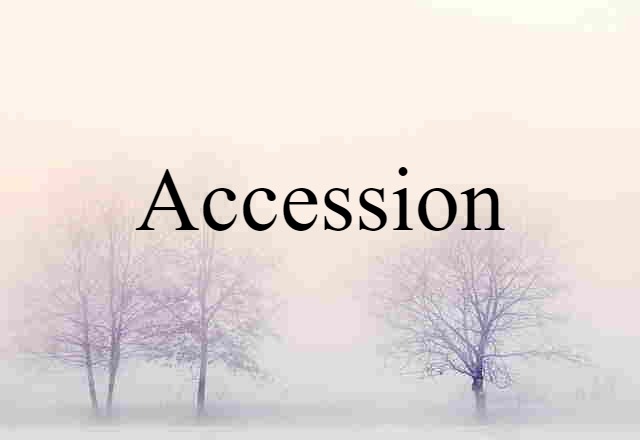 Accession (noun) Definition, Meaning & Examples