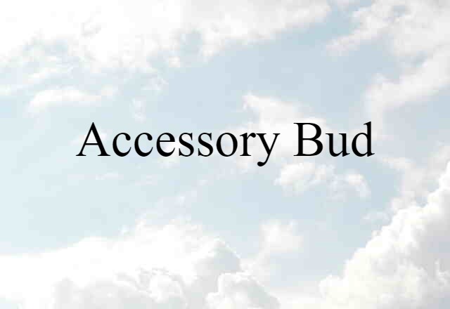 accessory bud