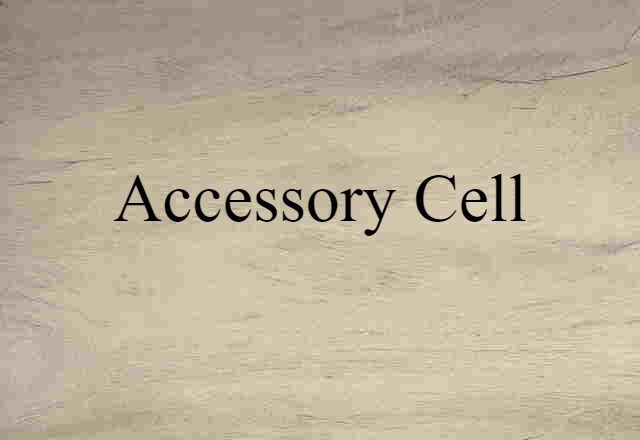 accessory cell