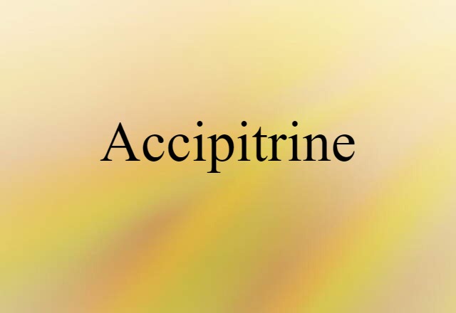 Accipitrine (noun) Definition, Meaning & Examples