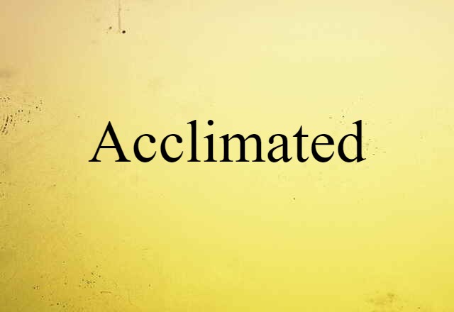 Acclimated (noun) Definition, Meaning & Examples