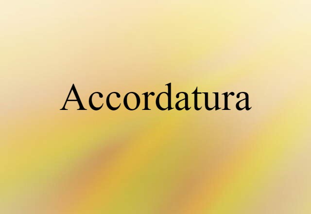 Accordatura (noun) Definition, Meaning & Examples