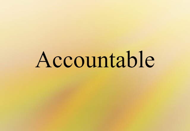 Accountable (noun) Definition, Meaning & Examples