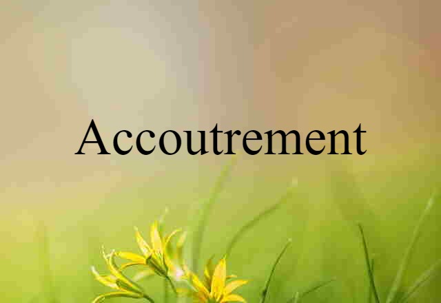 Accoutrement (noun) Definition, Meaning & Examples