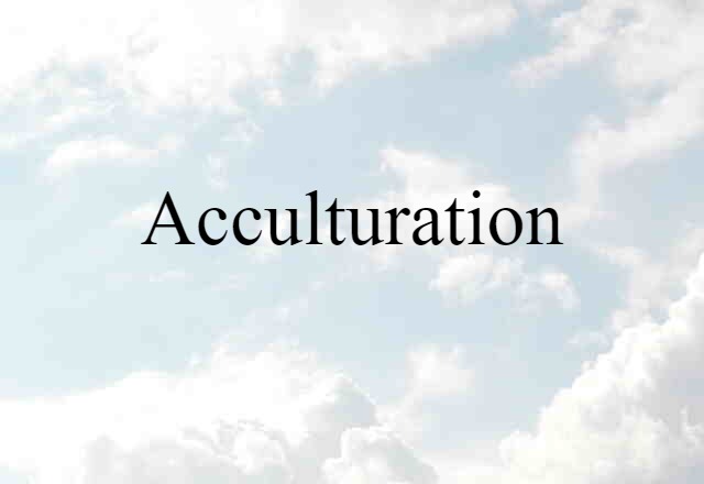 Acculturation (noun) Definition, Meaning & Examples