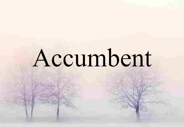 Accumbent (noun) Definition, Meaning & Examples