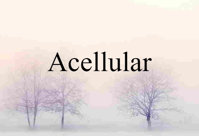 Acellular (noun) Definition, Meaning & Examples